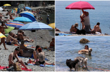 Slika od Ponedjeljak na plaži: Riječani i njihovi čupavci osvježenje potražili u moru!