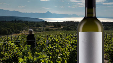Slika od Stinina Vugava i Pošip iz 2023. pokazuju da je iz nemoguće berbe moguće napraviti vrlo dobro vino