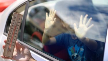 Slika od Što se događa s djecom u autu na suncu? Liječnica: ‘Prvo se znoji, pada u nesvijest, onda ide smrt’