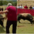 Slika od UZNEMIRUJUĆ VIDEO! Na dalmatinskoj bikijadi bik napao i teško ozlijedio muškarca!