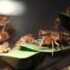 Slika od VIDEO Najezda zrikavaca snimljena na hrvatskom otoku, stručnjak objašnjava: ‘Nisu opasni, ali treba paziti’