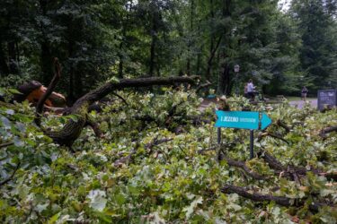 Slika od FOTO Ovo je zagrebački park Maksimir nakon sinoćnjeg nevremena