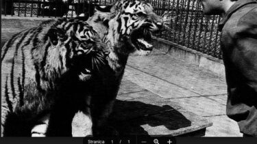 Slika od FOTO Ovo su prve životinje koje su živjele u zagrebačkom ZOO-u