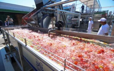 Slika od FOTO: Podravka otvorila novi pogon za preradu rajčice u Varaždinu