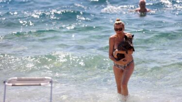 Slika od FOTO Preslatki psi se kupaju i uživaju na plaži u Crikvenici
