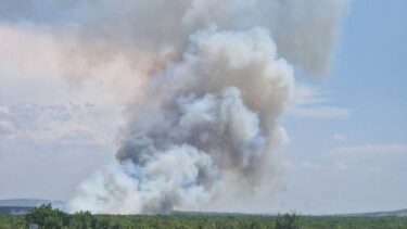 Slika od Gori šuma kraj Benkovca, u pomoć pozvali pet zrakoplova