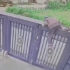 Slika od Gospođa od 92 godine zbrisala iz staračkog doma, ogradu visoku dva metra svladala za 24 sekunde