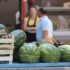 Slika od Hrvati u nevjerici zbog cijene lubenica: ‘Ovdje ih nikako ne kupujte, pa tko je tu lud’