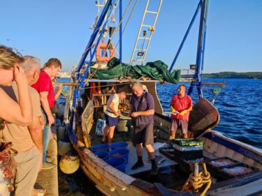 Slika od I večeras je radila šibenska peškarija pod vedrim nebom, na palubi Baranovićevog ‘Sokola‘. Moli, kozice, lignjuni, sve još živo i friško…