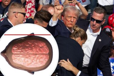 Slika od Ilustracija dočarava koliko je blizu smrti bio Trump: pogledajte što bi se dogodilo da u tom trenutku nije okrenuo glavu