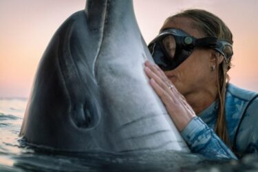 Slika od Ispovijest žene čija je bliskost s delfinom dovela do seksualnosti: ‘Isprva me grickao, bio je neobuzdan…‘