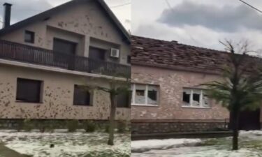 Slika od Katastrofa u Bošnjacima: Kao da su snajperisti prošli kroz selo! Načelnik očajan, stiže i župan