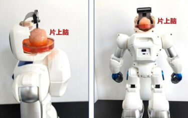 Slika od Kineski znanstvenici napravili revolucionarnog robota kojeg pokreće uzgojeni ljudski mozak