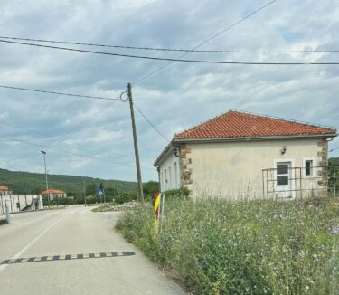 Slika od Konavoski poduzetnik proziva nadležne: ‘Uz naše ceste usred sezone buja korov, kad će ga konačno netko pokositi?!‘