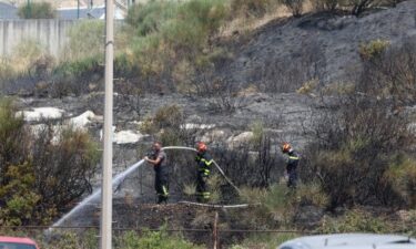 Slika od Lokaliziran požar u Rudinama, u akciji bila 52 vatrogasca