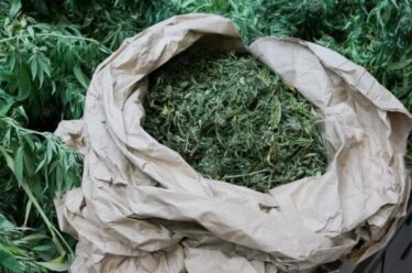 Slika od Marihuana, kokain, MDMA… 33-godišnjak na Zametu skrivao razne vrste droge