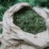 Slika od Marihuana, kokain, MDMA… 33-godišnjak na Zametu skrivao razne vrste droge