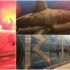 Slika od Na Hostima osvanuo prekrasan mural! Pogledajte video: 42 metra ljubavi prema Rijeci i Armadi!