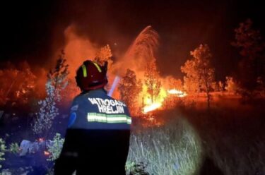 Slika od Na području Hreljina sinoć izbio požar; Gasilo 30 vatrogasaca, pomogli i njemački vatrogasci