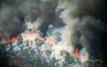 Slika od Najgorih šest mjeseci požara u Amazoniji u zadnjih 20 godina