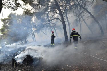 Slika od Napokon razjašnjeno! Požar kod Trogira je podmetnut. Policija privela piromana