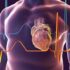 Slika od Novi algoritam mogao bi predvidjeti i spriječiti slučajeve iznenadne srčane smrti unutar jedne minute