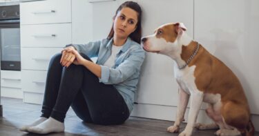 Slika od Novi pas u kućanstvu može uzrokovati anksioznost, kaže istraživanje