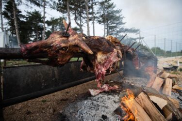 Slika od Obrovac slavi ‘Bukovačku večer‘, počinje dodjelom nagrada naj učenicima, a vrhunac fešte je gastronomska atrakcija…