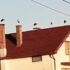 Slika od Pogledajte ovaj predivan prizor iz Novske: Pravi je baby boom, na svakom krovu po par roda!