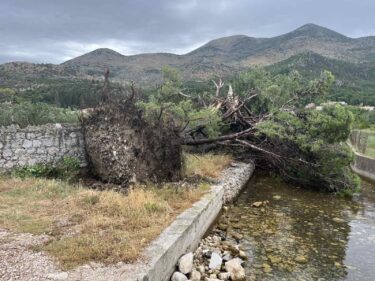 Slika od Pogledate kakvu je pustoš nevrijeme jutros ostavilo iza sebe u Slanome: srušena stabla, stradali krovovi i automobili, nasukana plovila, a ni pčele nisu prošle lišo