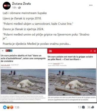Slika od Polarnog medvjeda s fotografije ubio je radnik s kruzera