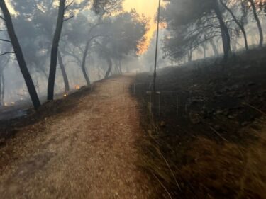 Slika od Požar kod Trogira pod kontrolom ali još nije ugašen