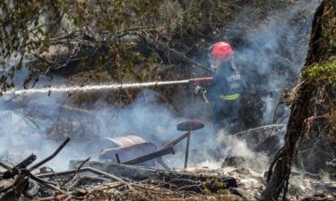 Slika od Požar na Pelješcu pod nadzorom, zbog vjetra vatrogasci na oprezu