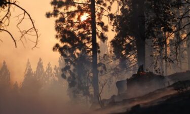 Slika od Požar u Kaliforniji postao najveći u SAD-u, opožarena površina strelovito raste