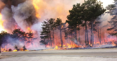 Slika od Požari bjesne u Grčkoj, Sjevernoj Makedoniji, Albaniji i Bugarskoj
