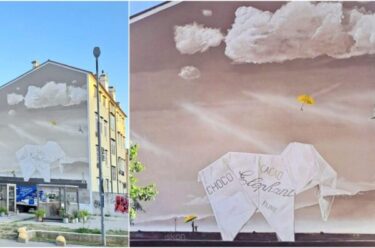 Slika od Rijeka ima novi mural! Slon od papirnog omota čokolade Elephant. Jeste li ga već primijetili?