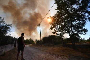 Slika od Rudić: “Na požaru u Radašinovcima angažirano 49 vatrogasaca s 19 vozila koji će ostati na terenu cijelu noć. Objekti nisu ugroženi”