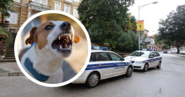 Slika od Starica u Opatiji ušla sa psom bez brnjice u policiju. Dobila je prekršajnu prijavu
