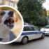 Slika od Starica u Opatiji ušla sa psom bez brnjice u policiju. Dobila je prekršajnu prijavu