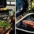 Slika od STEAK NA KVADRAT Weber Lumin Black najmoćniji je kućni roštilj kojeg smo dosad isprobali