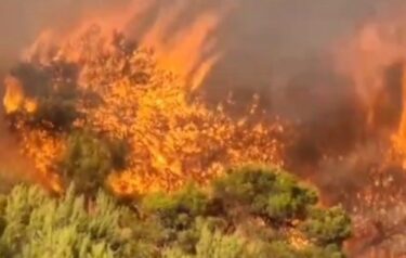Slika od Stravična buktinja u blizini Trogira! Pogledajte s kakvom su se vatrenom silom borili vatrogasci