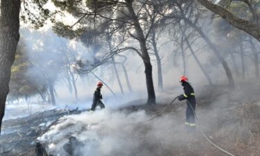 Slika od Ugašen požar kod Trogira koji je planuo u četvrtak