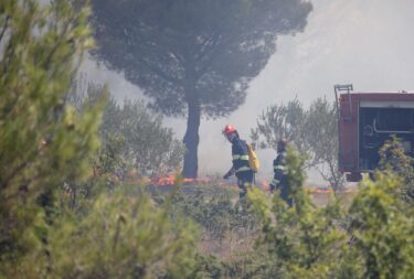 Slika od Uglednoj vinarskoj obitelji Bibić izgorjeli vinogradi i maslinici: “Sve je izgorjelo”