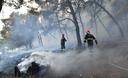 Slika od Uhićen muškarac kojeg se sumnjiči da je zapalio požar kod Segeta