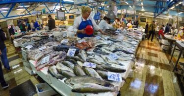 Slika od Ulov morske ribe u 2023. smanjen je za čak 11,9 posto u usporedbi s 2022. Očito je da ćemo jesti sve manje divlje a sve više uzgojene ribe