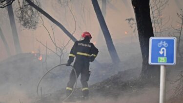 Slika od Vatrogasci će i drugu noć dežurati na požarištu kod Trogira