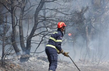 Slika od Vatrogasci poslali ozbiljno upozorenje građanima zbog toplinskog vala: ‘Ne radite ovo, velika je opasnost’