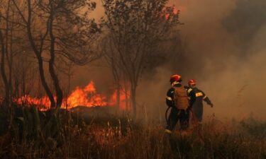 Slika od Vatrogasci u Ateni bore se sa šumskim požarima, strahuje se od teškog ljeta