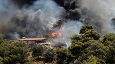 Slika od VIDEO Bukte požari u Grčkoj, bore se s velikim vrućinama: ‘Čeka nas jako teško ljeto’
