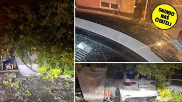 Slika od VIDEO Drvo u Zagrebu palo na automobil: ‘Apeliramo mjesnom odboru već godinu dana…’